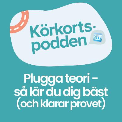 Plugga teori – så lär du dig bäst (och klarar provet)