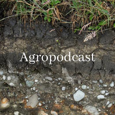 El Suelo, el recurso natural que sostiene todo -junto a Lely Soto El Suelo, el recurso natural que sostiene todo -junto a Lely Soto