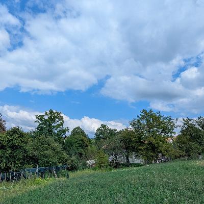 Lunchtime Upper Garden Sounds - 3 September 2025 Lunchtime Upper Garden Sounds - 3 September 2025