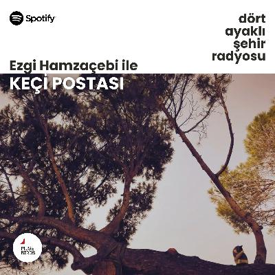 Keçi Postası - Ezgi Hamzaçebi | Hayvan/Yaşam ve Canavarların Vaatleri