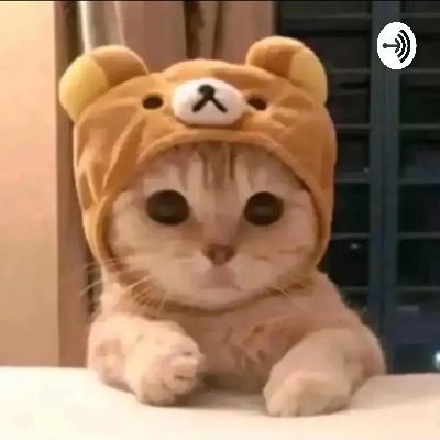 Babo Clan  (Trailer)