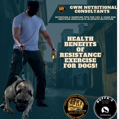 Health benefits of resistance exercise for your dog! Health benefits of resistance exercise for your dog!