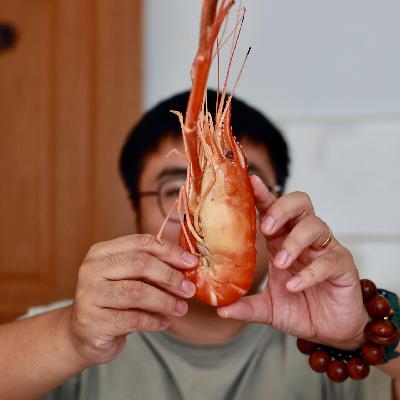 St.32 江南吃虾说明书：从菜场小河虾，到比手还大的太湖虾王