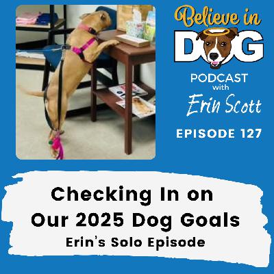 Checking In on Our 2025 Dog Goals