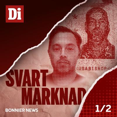 Miljardsvindeln Falcon Funds (1/2)