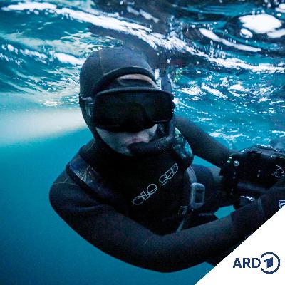 Unter Orcas –  Die Unterwasser-Tierfilmerin Christina Karliczek