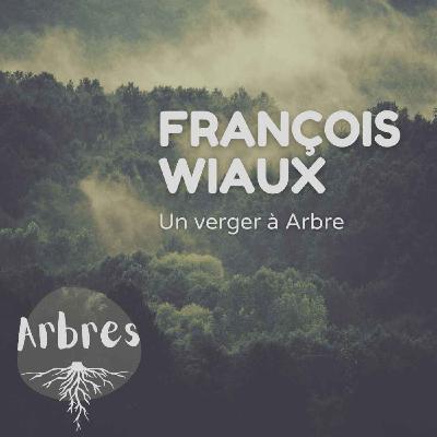 François Wiaux - Un verger à Arbre