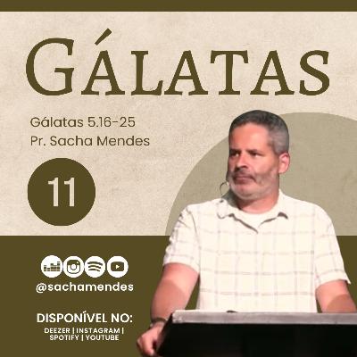 Série Gálatas - Dia 11 - Gálatas 5.16-25 - Sacha Mendes