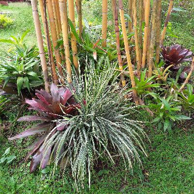 Meningkatkan Keimanan Meningkatkan Keimanan