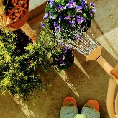 虚しい心、重い体…そんなときの処方箋