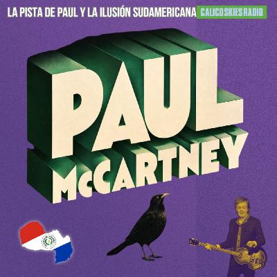La pista de Paul y la ilusión Sudamericana