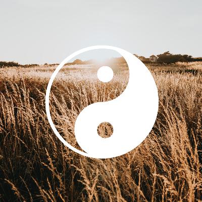 Nederlandse moderne meditatie voor meer balans, verbinding & geluk