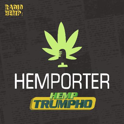 MULTA pra maconheiro, CANNABIS na ONU, EUA quer LIBERAR e TAILÂNDIA quer PROIBIR MULTA pra maconheiro, CANNABIS na ONU, EUA quer LIBERAR e TAILÂNDIA quer PROIBIR