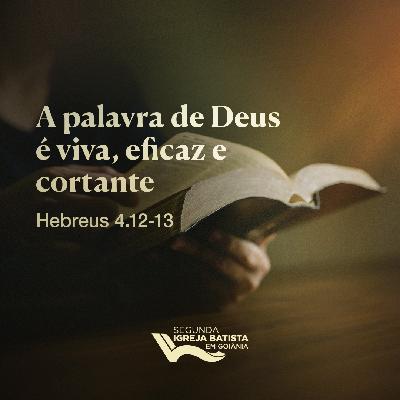 A palavra de Deus é viva eficaz e cortante
