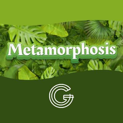 METAMORPHOSIS - Mark 9:2-37 | Terry Janke