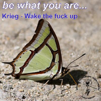 Krieg - Wake the fuck up