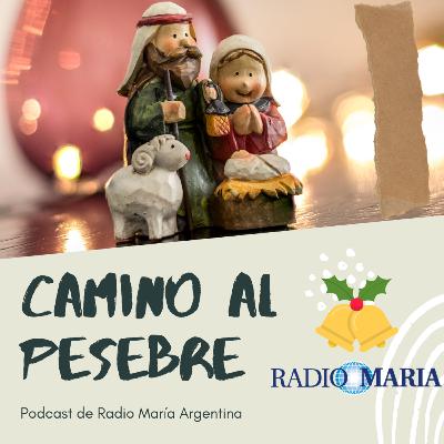 Camino a la Navidad: el pesebre, asombro y ternura Camino a la Navidad: el pesebre, asombro y ternura