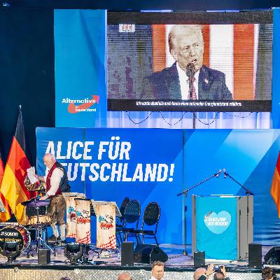 Rechtspopulismus - Sachbücher über den koordinierten Angriff auf die Demokratie