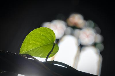 "Tänk Idealitet" Svenska kyrkan i Gävle