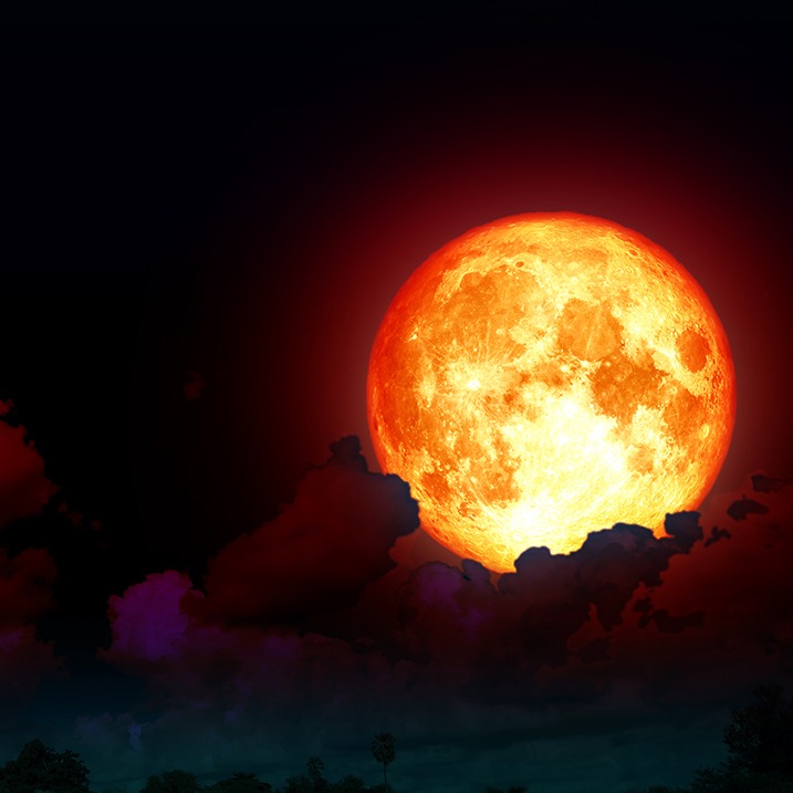 VOX Theory Episode 95 (Mistery Event) episode artwork