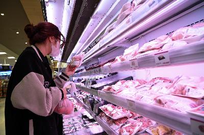 Bản tin sáng 7/12:Tiêu huỷ 1,23 triệu con lợn, giá thịt lợn Tết có thể tăng mạnh