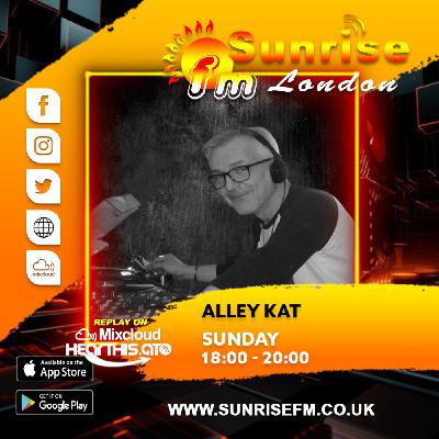 Alley Kat - Sun 16th Nov 2025 Alley Kat - Sun 16th Nov 2025