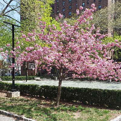 I'll NEVER do my own taxes again!