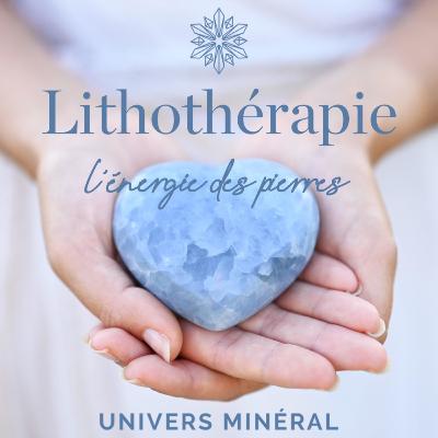 Lithothérapie #104 - Tous les secrets du Bois fossile ! Minéralogie, vertus et usages en lithothérapie
