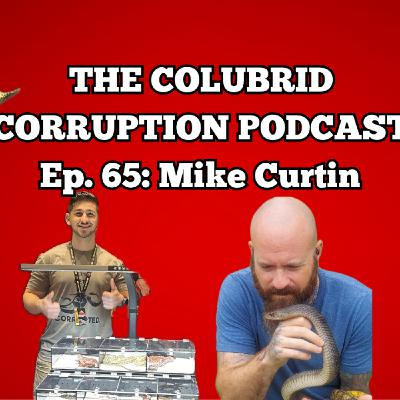 Carpet Python Breeder Loves His Colubrids w/ Mike Curtin | The Colubrid Corruption Podcast | Ep. 65 Carpet Python Breeder Loves His Colubrids w/ Mike Curtin | The Colubrid Corruption Podcast | Ep. 65