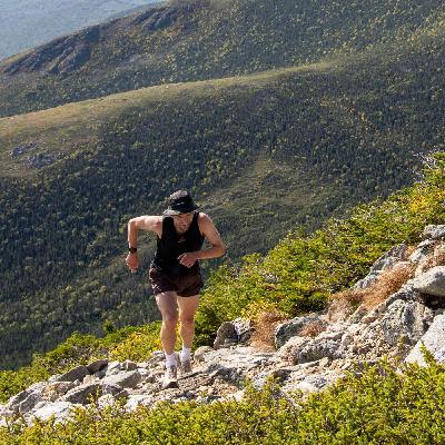 David Sinclair - Nordic Roots & Ultra Success