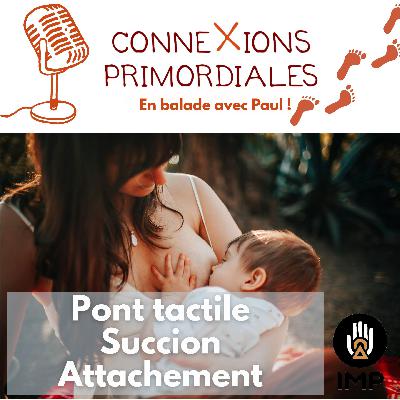 Pont tactile, succion, attachement : réflexes post-natals