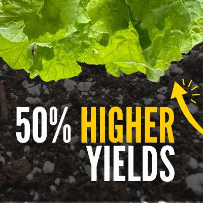 The BEST Homemade Soil Mix for Microgreens, Gardens & Houseplants