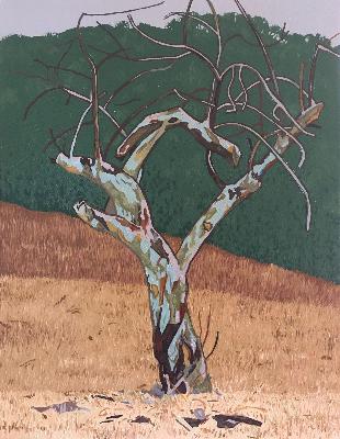 Kate Arthur: STUDIO CONFIDENTIAL