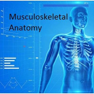 Episode 5: Knee effusion