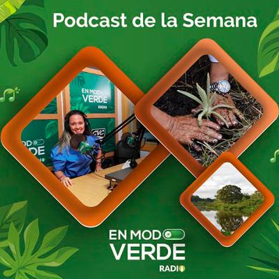 Balance EAR para jóvenes Buga - En Modo Verde Radio Balance EAR para jóvenes Buga - En Modo Verde Radio
