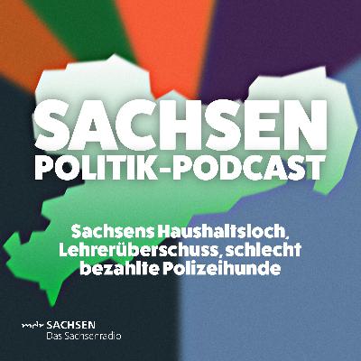 Sachsens Haushaltsloch, Lehrerüberschuss, schlecht bezahlte Polizeihunde