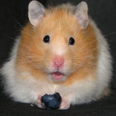 Episode 7 - Allegedly