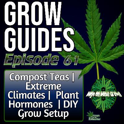 How to Brew Compost Teas, Grow in Harsh Climates, Harness Plant Hormones & Build a DIY Grow Setup | Grow Guides Ep. 61