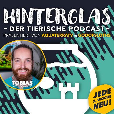 AquaOwner zu Gast: Kein Moos ins Aquarium? Tierische Reisepläne und seine ersten, eigenen Produkte - HINTERGLAS #024