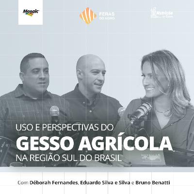 Feras do Agro [#08] - Uso e perspectivas do gesso agrícola na região sul do Brasil