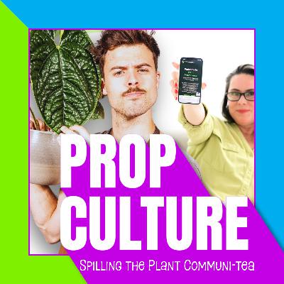 E01: We're Pregnant with Provenance, Birkin Drama, and the King's Orchid