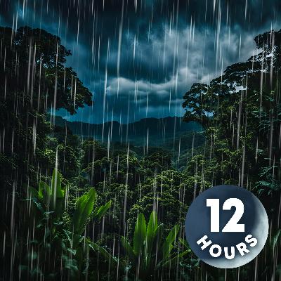 Late Night Rainstorm While Camping | Rain on Tent Sounds to Sleep 12 Hours