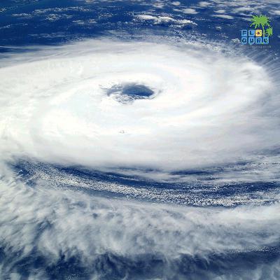 Let's Twist again ... Stürmisches Florida - Hurricanes im Sunshine State