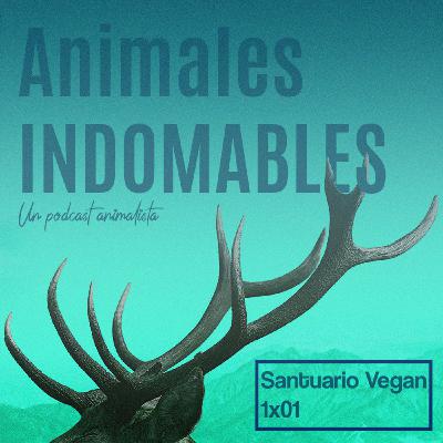 Animales Indomables - Santurio Vegan (1x01)