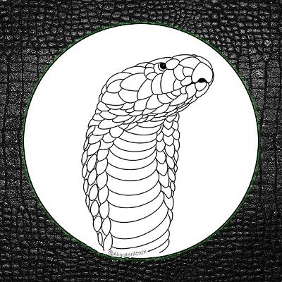 ReptiChat #Ep 57 - Ali of Aligatoratrox talks all things venomous!
