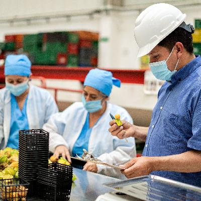 Mundo rural - Ayudas al sector primario en el Plan anticrisis - 25/03/26 Mundo rural - Ayudas al sector primario en el Plan anticrisis - 25/03/26