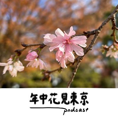 ジュウガツザクラ批評【#33】