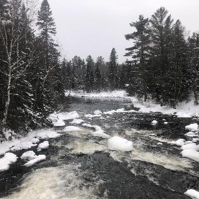 Ep. 263 : Winter Wildlife Tracking Trip in Algonquin Park, 2025