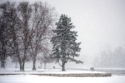 Dr. Zorba Paster shares holiday season health tips, Weather Guys talk snow, gales and Arctic warming