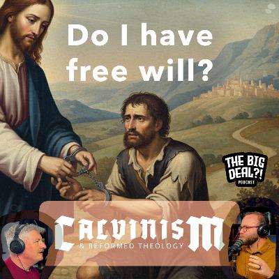 Ep. 5 - Irresistible Grace [CALVINISM & REFORMED THEOLOGY SERIES]
